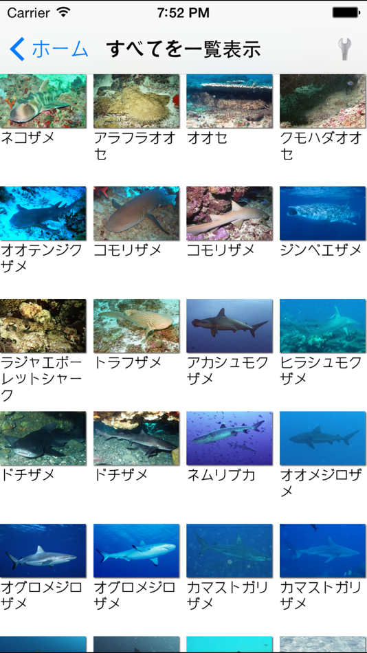 #2. 南国魚ガイド(1700種類の魚図鑑) (iOS) 由: KATSUHISA MURAMATSU