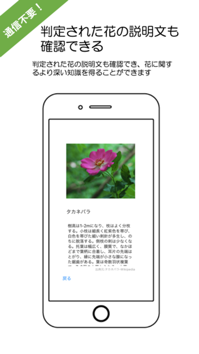 山の花-AI判定アプリ screenshot 3
