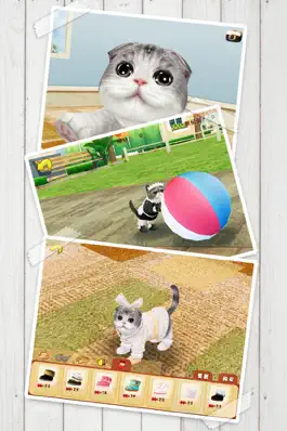Game screenshot Cat Sweetie hack