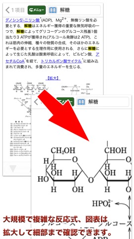 デジタル化学辞典 第2版【森北出版】(ONESWING)のおすすめ画像5