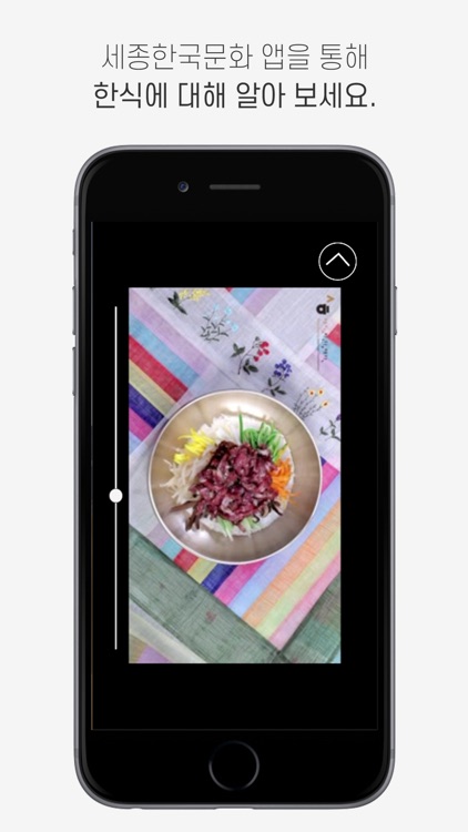 세종한국문화1 screenshot-3