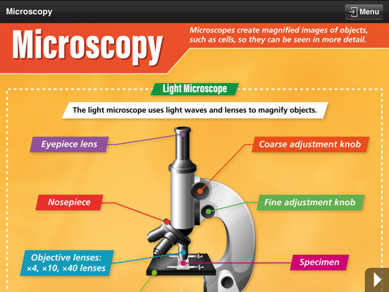 Screenshot #5 pour Biology GCSE