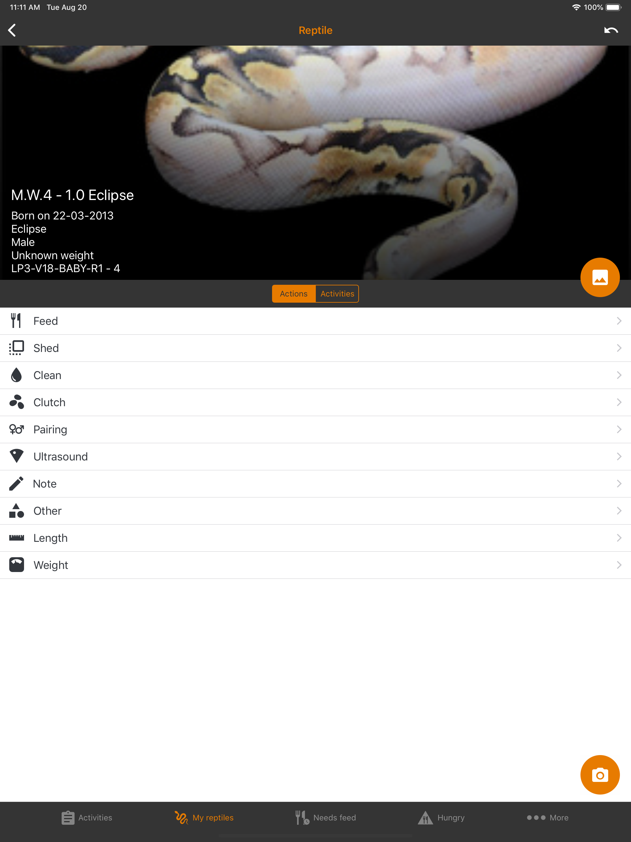 Reptile Scan screenshot 6