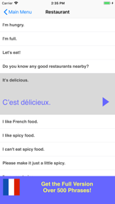 Speak French Phrasebook Lite screenshot
