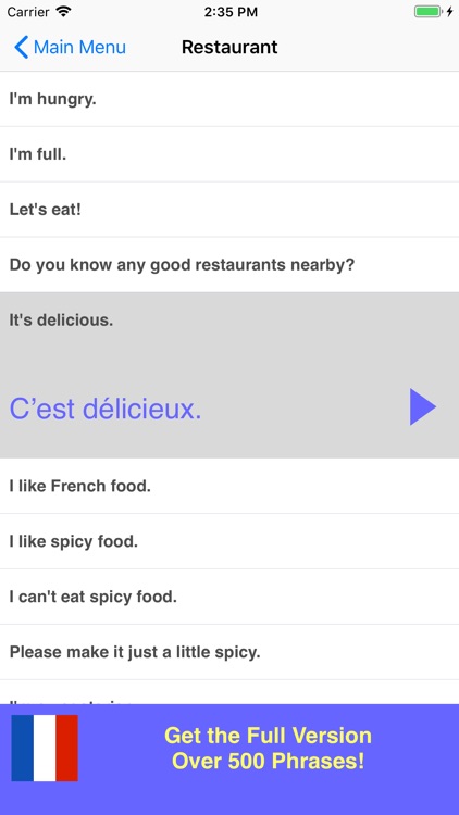 Speak French Phrasebook Lite screenshot-3