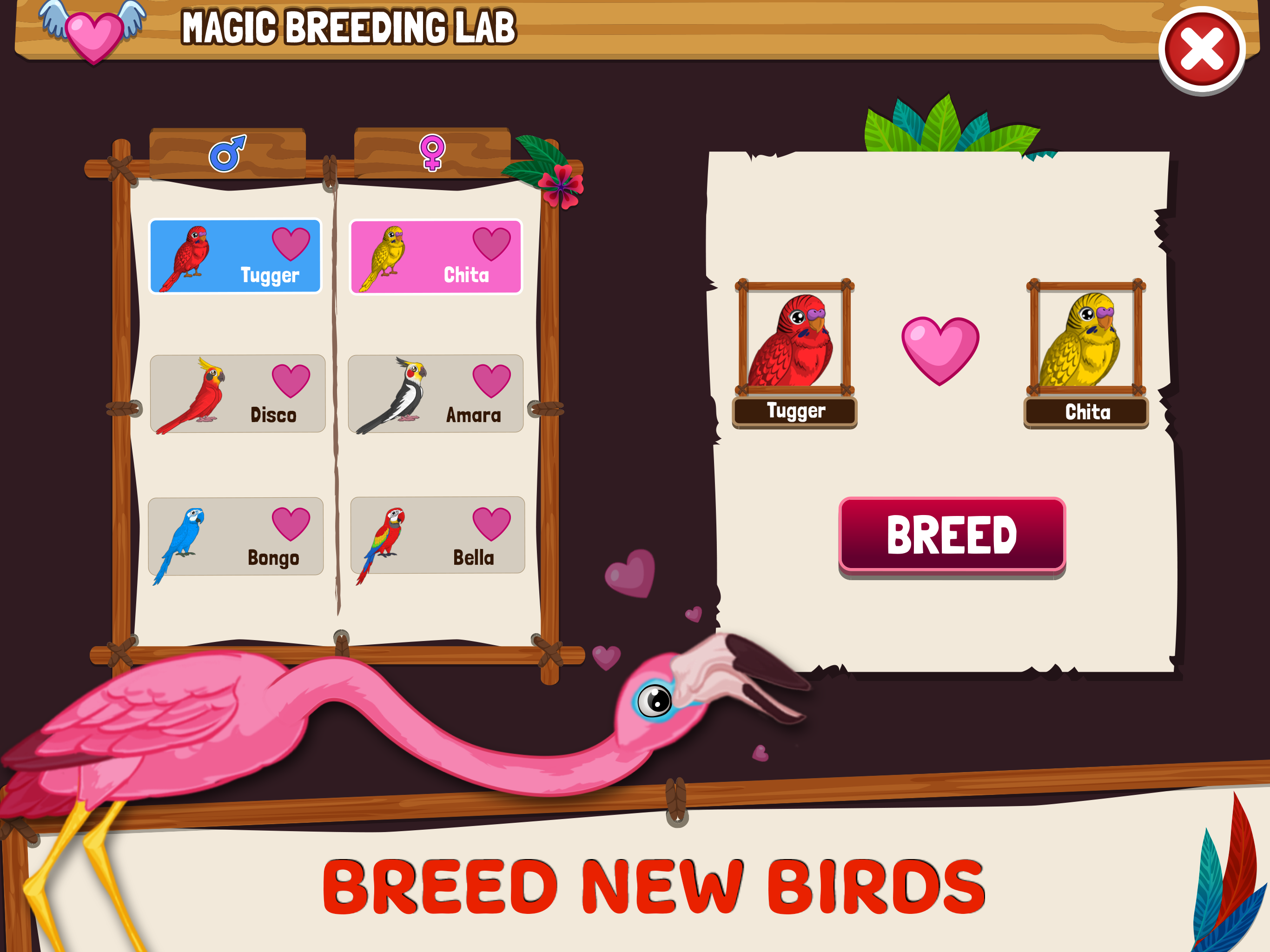 Bird Land: Animal Fun Games 3D