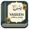 Surah Yaseen Offline Audio contact information