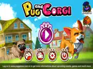 pug and corgi ipad resimleri 1