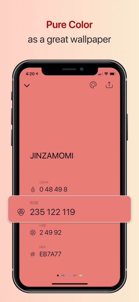 Color Collect - Palette Studio - 