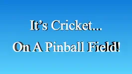 Game screenshot PinBall Cricket mod apk