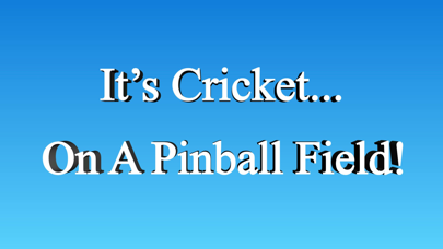 PinBall Cricket Screenshot