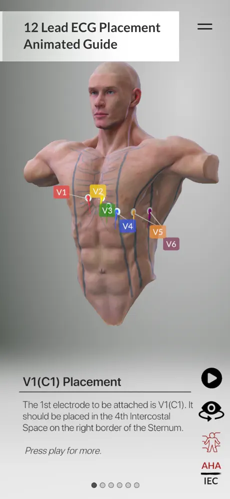 3D ECG Leads