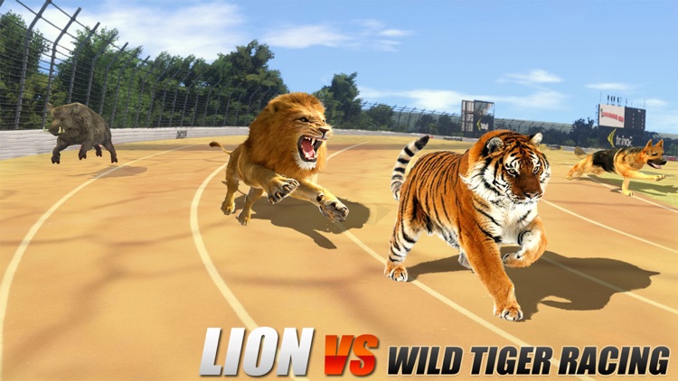 Crazy Wild Animal Racing Game screenshot-3
