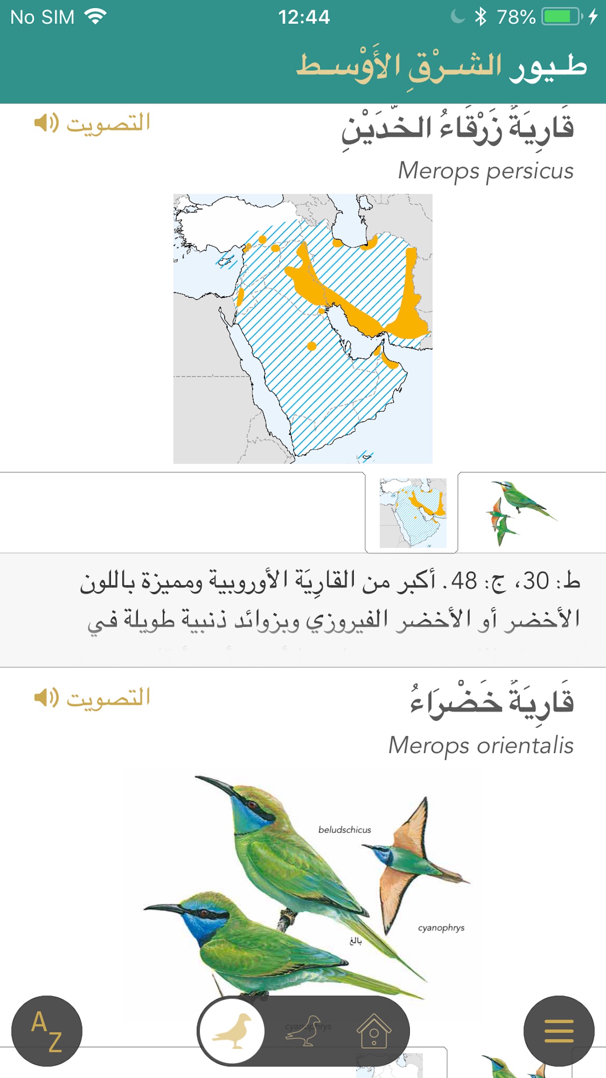 Screenshot 3 of دليل الطيور في الشرق الأوسط