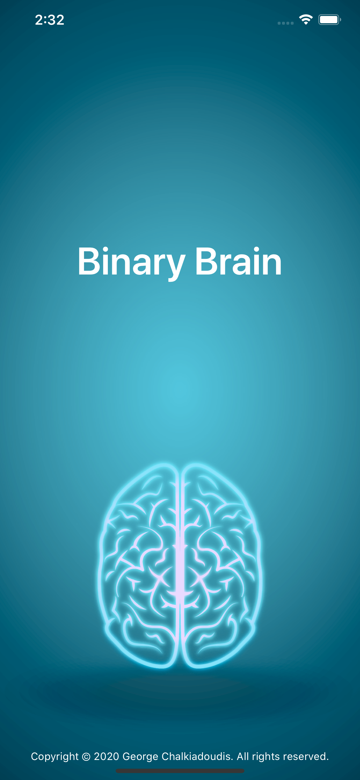Binary Brain