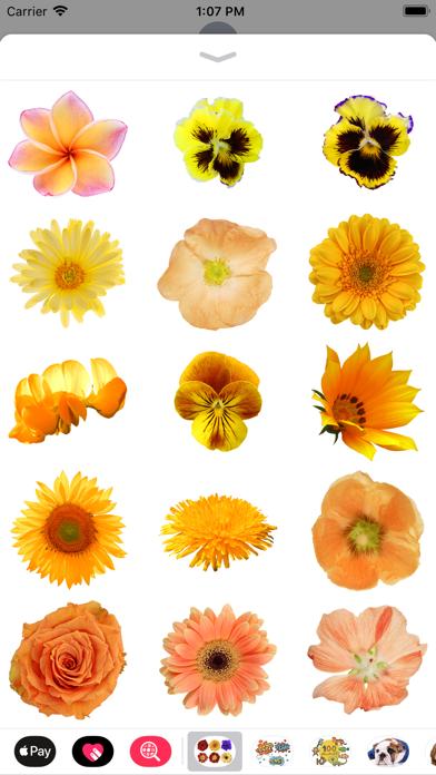 Screenshot #1 pour 100+ Flower Stickers