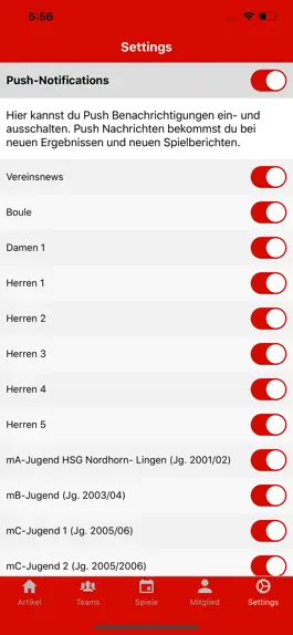 Game screenshot HSG Nordhorn hack