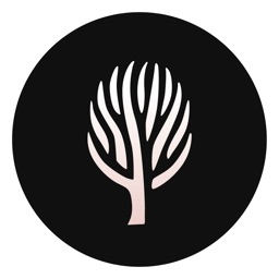 Olive - Beyond Beauty