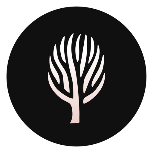 Olive - Beyond Beauty