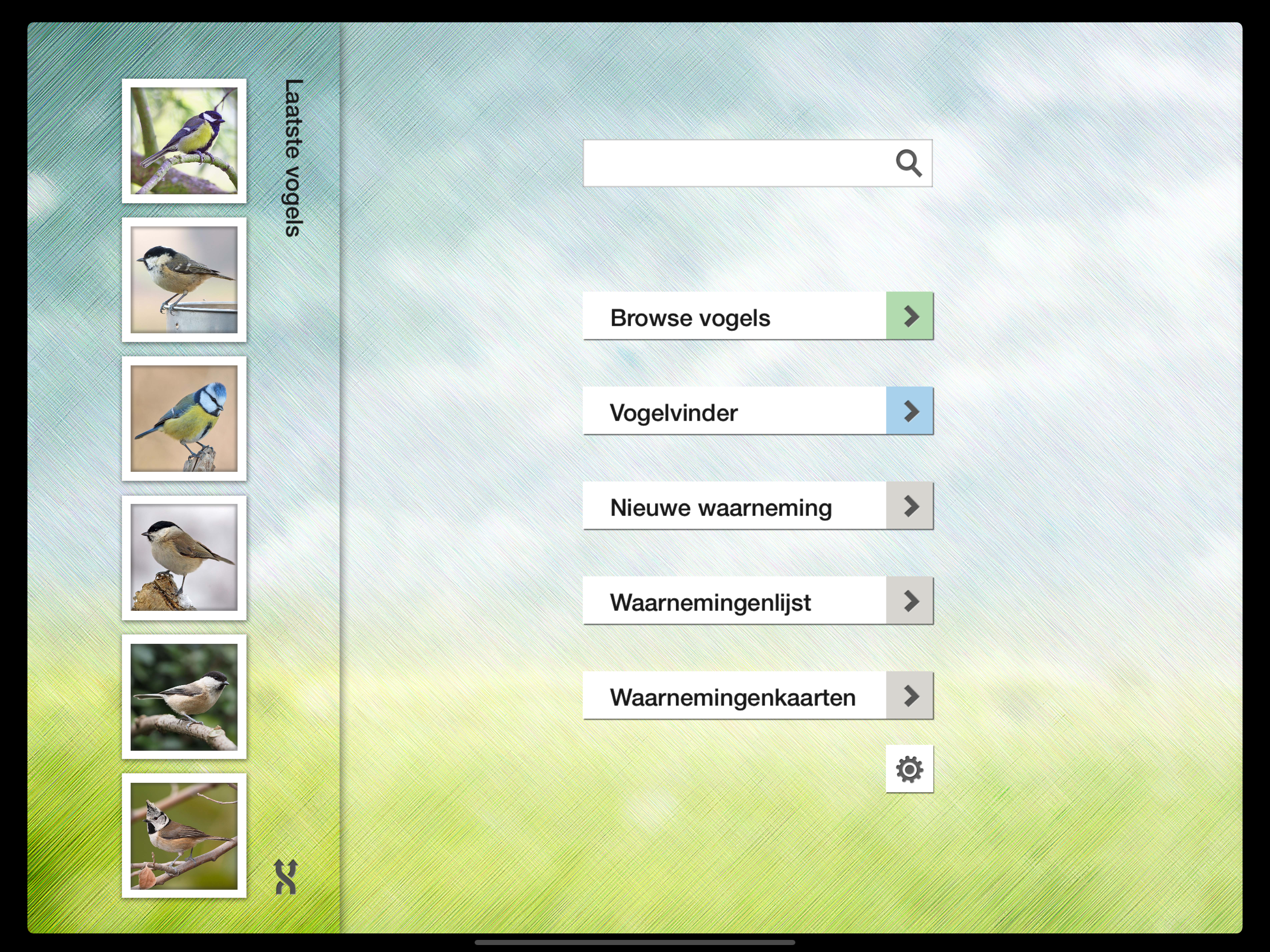 Birds of the Netherlands