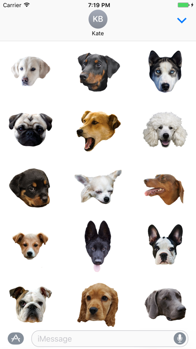 Dogs - Dog Stickers Messages Screenshot