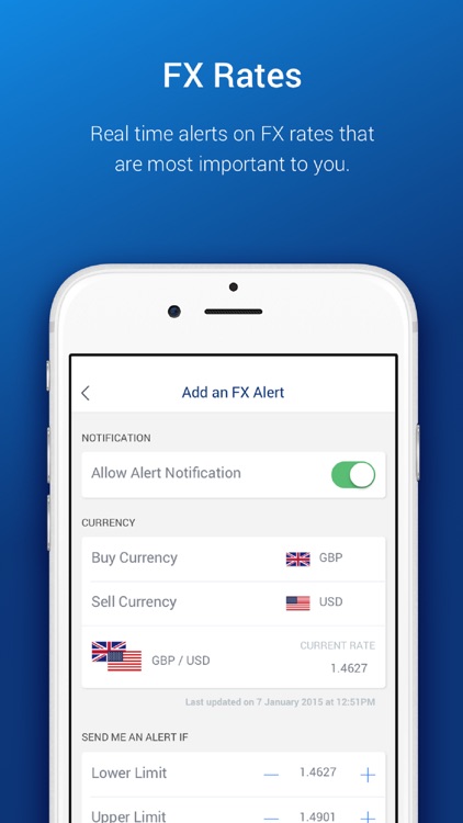 UOB Business screenshot-4