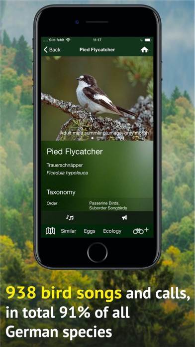 All Birds Germany Screenshot