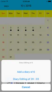 threelinesdiary iphone screenshot 3