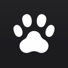 Top 41 Entertainment Apps Like Catpad - Cats love to catch the mouse - Best Alternatives