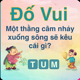 Đố Vui (mới)