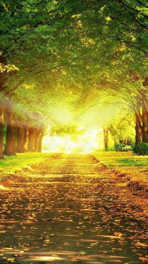 Music Healing(圖1)-速報App