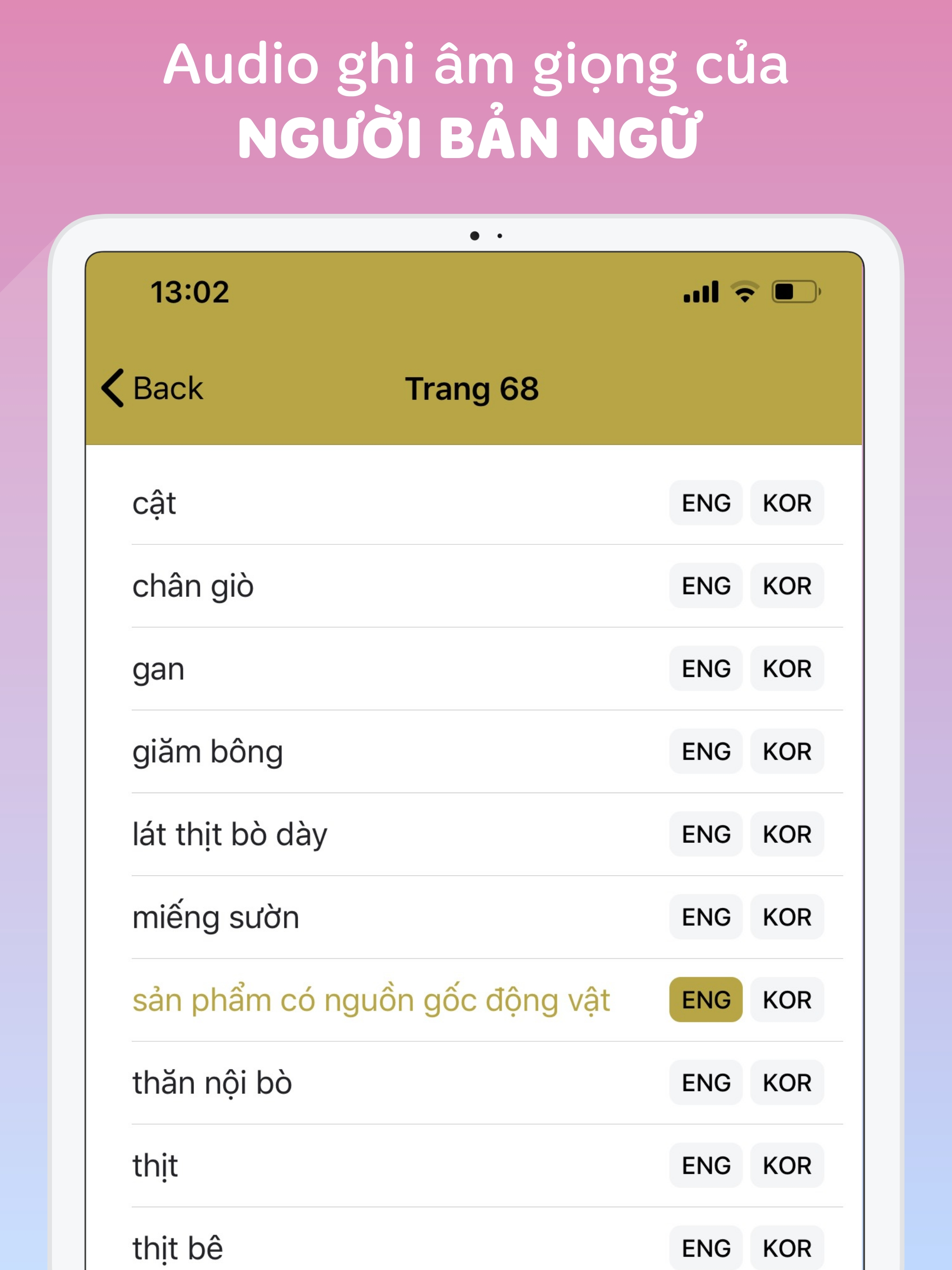 Vietnamese-Korean-English