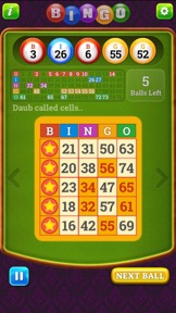 Bingo Classic Multi screenshot