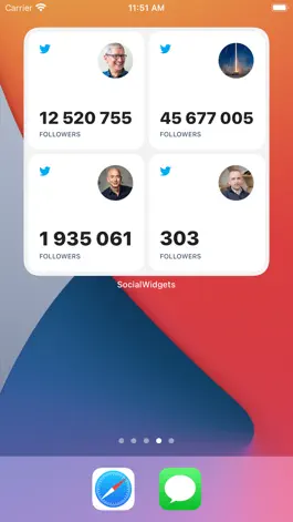 Game screenshot Social.Widgets hack