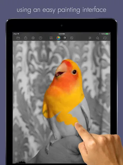 Captura de pantalla de Color Splash For IPad en iPhone 4