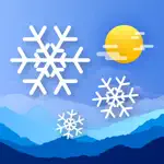 Weather Widget App App Support