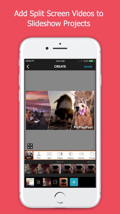PicPlayPost Movie Video Editor