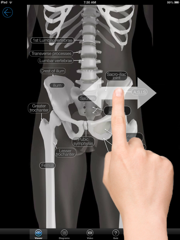 Skeletal Anatomy 3Dのおすすめ画像4