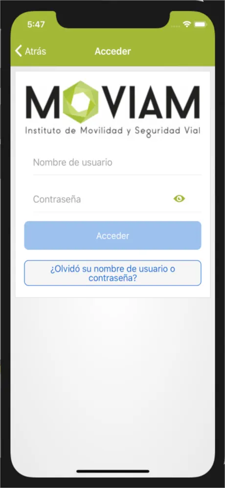 MOVIFUN Formación