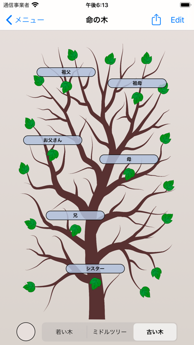 生命の木-家系図のおすすめ画像7