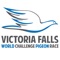 Vic Falls World Pigeon Race