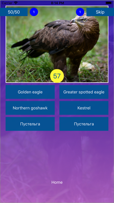 Bird Quiz - Name the Bird! Screenshot