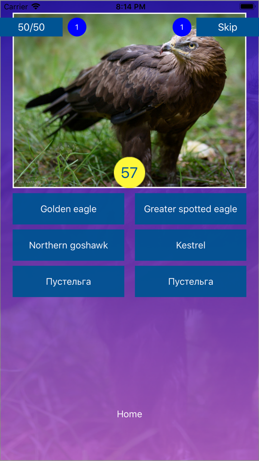 #4. Bird Quiz - Name the Bird! (iOS) 由: Ecosystema