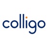 Colligo Briefcase