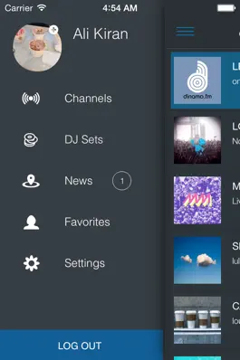 Game screenshot dinamo.fm hack