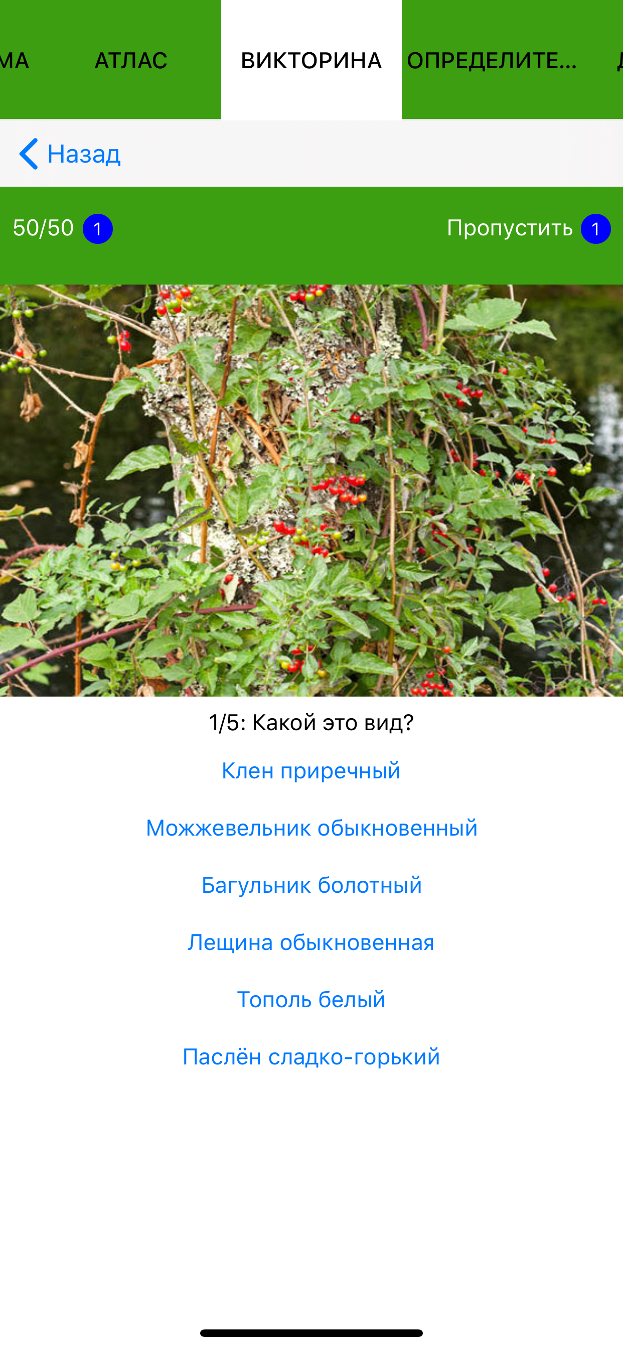 Экогид - Деревья летом screenshot 9