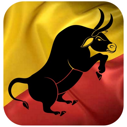 The Spanish Repossessions by Active Financial Solutions Ltd