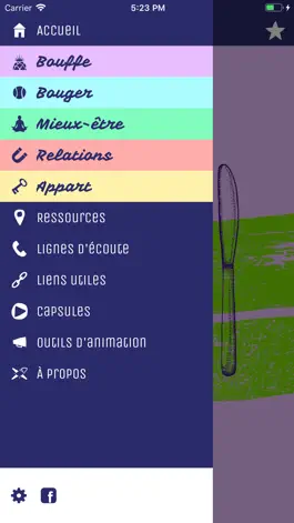 Game screenshot OPA - Outils pour l'autonomie apk