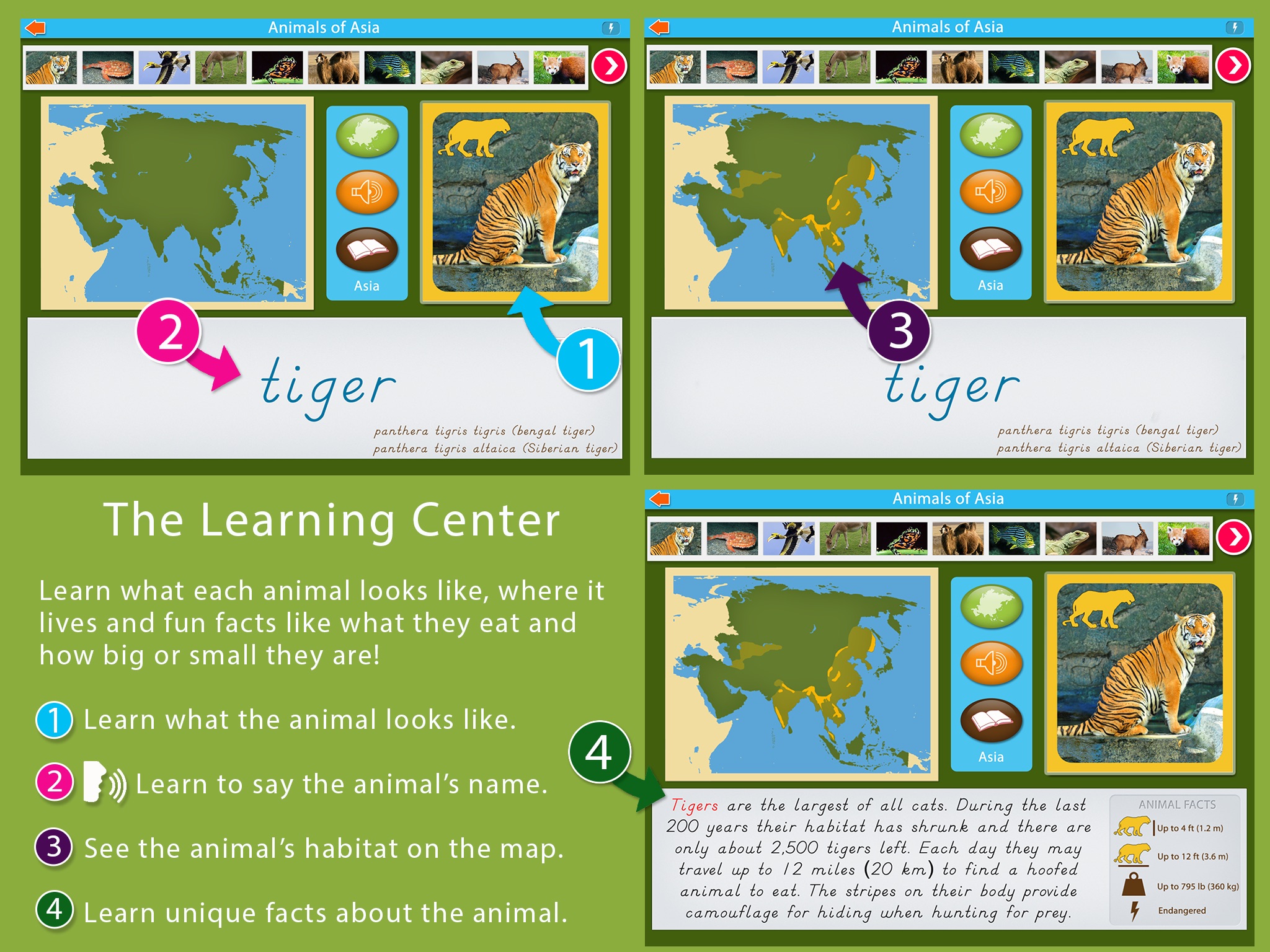Montessori - Animals of Asia screenshot 2