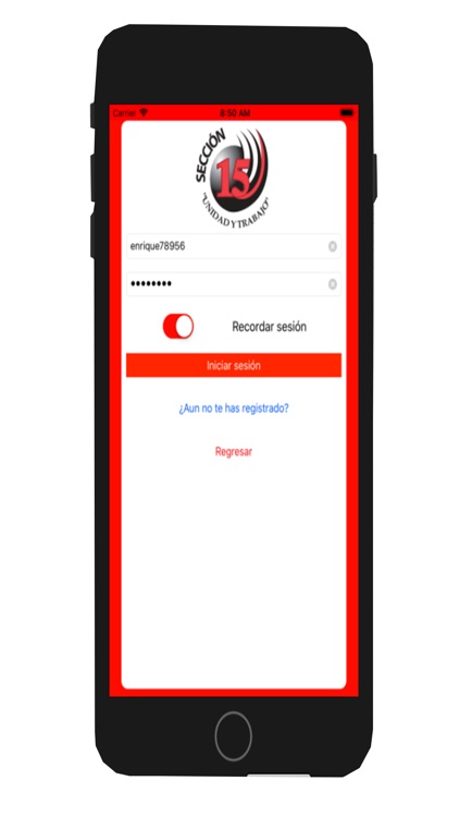 Sección 15 screenshot-5